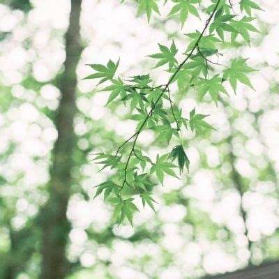 江南app手机app下载